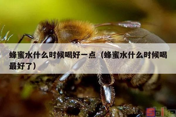 蜂蜜水什么时候喝好一点（蜂蜜水什么时候喝最好了）