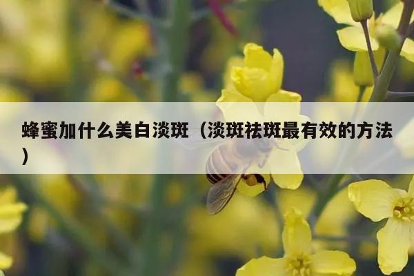 蜂蜜加什么美白淡斑（淡斑祛斑最有效的方法）