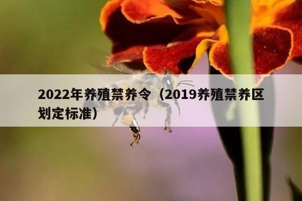 2022年养殖禁养令（2019养殖禁养区划定标准）