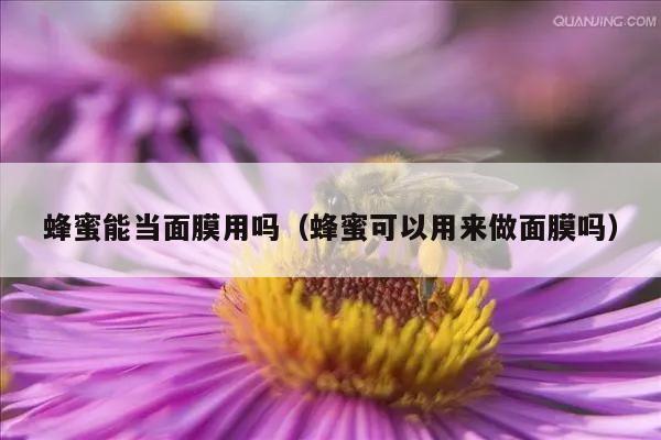 蜂蜜能当面膜用吗（蜂蜜可以用来做面膜吗）