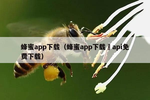 蜂蜜app下载（蜂蜜app下载汅api免费下载）