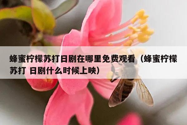 蜂蜜柠檬苏打日剧在哪里免费观看（蜂蜜柠檬苏打 日剧什么时候上映）