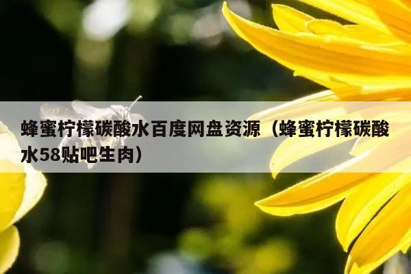 蜂蜜柠檬碳酸水百度网盘资源（蜂蜜柠檬碳酸水58贴吧生肉）