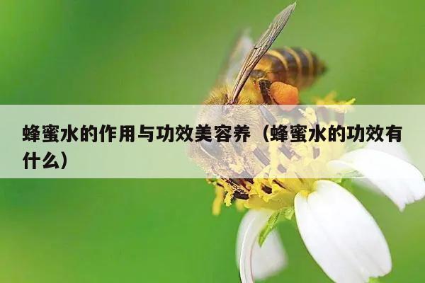 蜂蜜水的作用与功效美容养（蜂蜜水的功效有什么）