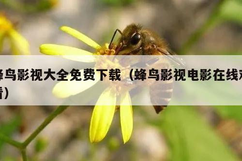 蜂鸟影视大全免费下载（蜂鸟影视电影在线观看）