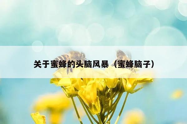 关于蜜蜂的头脑风暴（蜜蜂脑子）