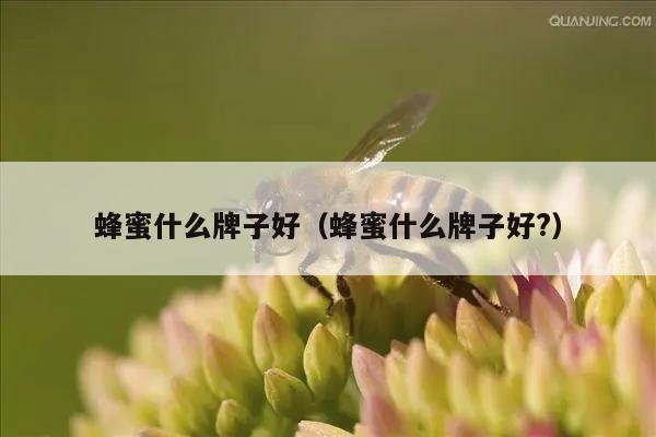 蜂蜜什么牌子好（蜂蜜什么牌子好?）