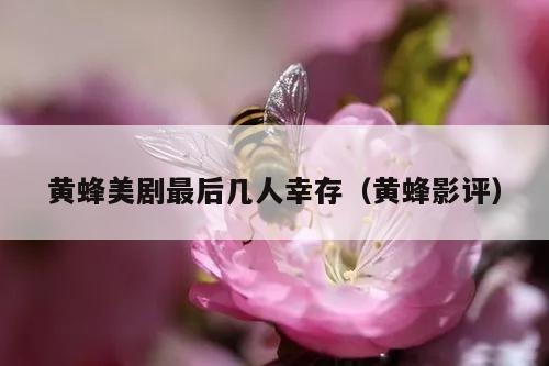 黄蜂美剧最后几人幸存（黄蜂影评）