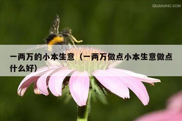 一两万的小本生意（一两万做点小本生意做点什么好）