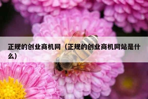 正规的创业商机网（正规的创业商机网站是什么）