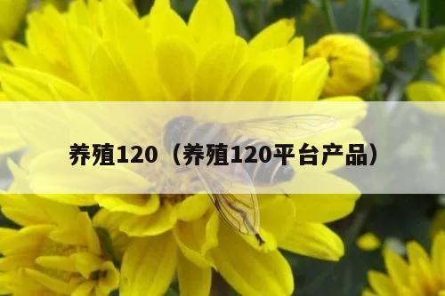 养殖120（养殖120平台产品）