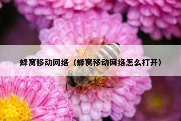 蜂窝移动网络（蜂窝移动网络怎么打开）