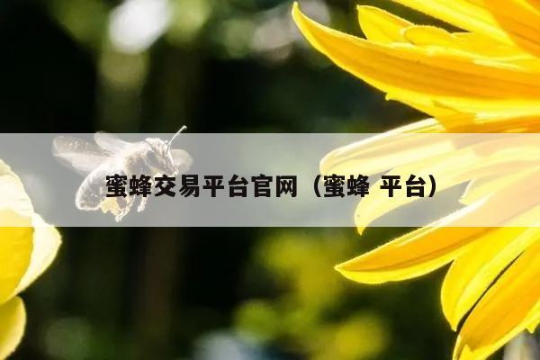 蜜蜂交易平台官网（蜜蜂 平台）