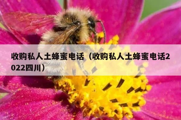 收购私人土蜂蜜电话（收购私人土蜂蜜电话2022四川）