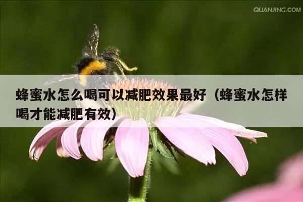 蜂蜜水怎么喝可以减肥效果最好（蜂蜜水怎样喝才能减肥有效）