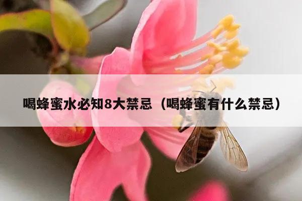 喝蜂蜜水必知8大禁忌（喝蜂蜜有什么禁忌）