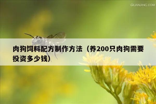 肉狗饲料配方制作方法（养200只肉狗需要投资多少钱）