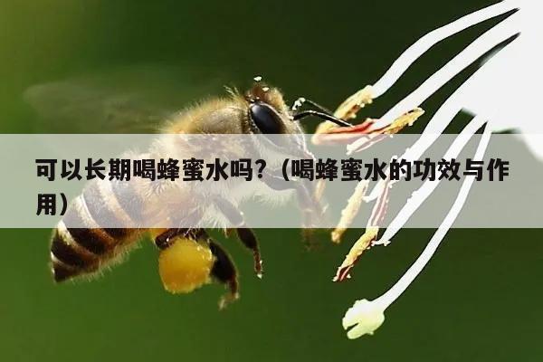 可以长期喝蜂蜜水吗?（喝蜂蜜水的功效与作用）