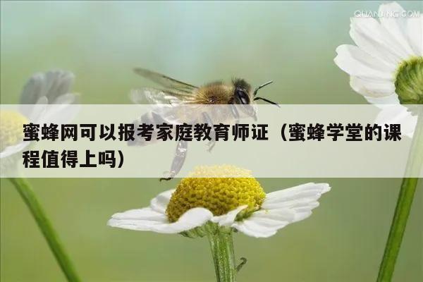 蜜蜂网可以报考家庭教育师证（蜜蜂学堂的课程值得上吗）