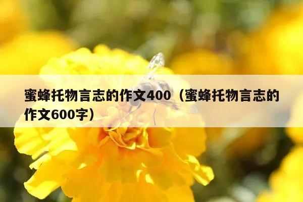 蜜蜂托物言志的作文400（蜜蜂托物言志的作文600字）