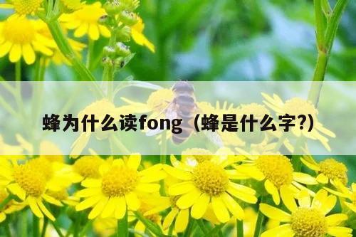 蜂为什么读fong（蜂是什么字?）