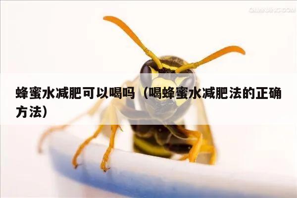 蜂蜜水减肥可以喝吗（喝蜂蜜水减肥法的正确方法）