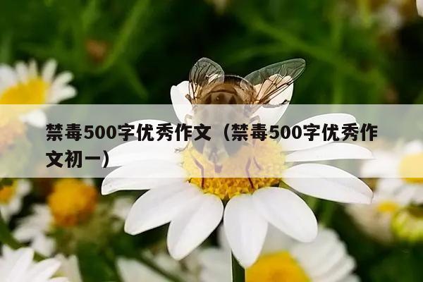 禁毒500字优秀作文（禁毒500字优秀作文初一）