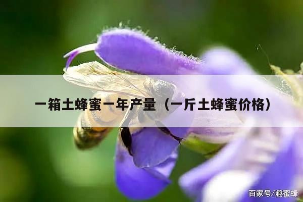 一箱土蜂蜜一年产量（一斤土蜂蜜价格）