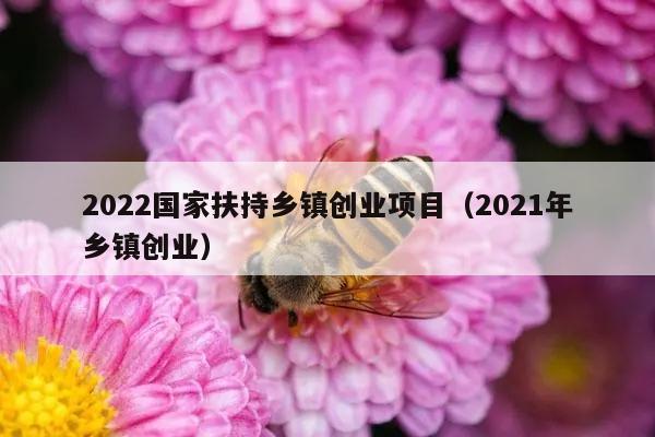 2022国家扶持乡镇创业项目（2021年乡镇创业）