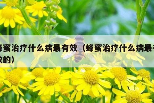 蜂蜜治疗什么病最有效（蜂蜜治疗什么病最有效的）