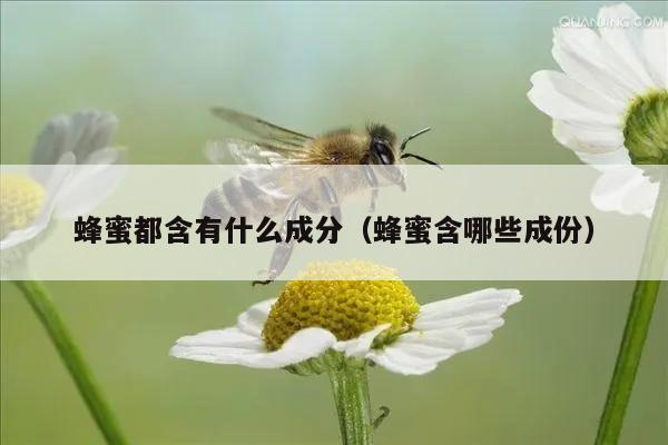 蜂蜜都含有什么成分（蜂蜜含哪些成份）