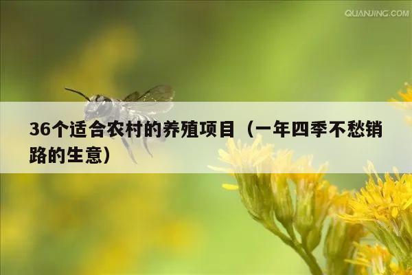 36个适合农村的养殖项目（一年四季不愁销路的生意）