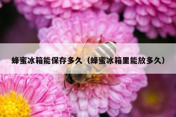 蜂蜜冰箱能保存多久（蜂蜜冰箱里能放多久）