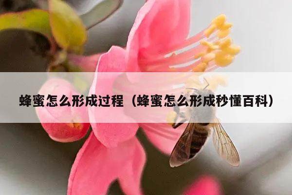 蜂蜜怎么形成过程（蜂蜜怎么形成秒懂百科）