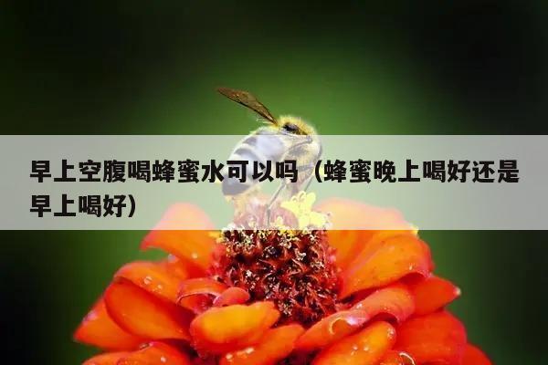 早上空腹喝蜂蜜水可以吗（蜂蜜晚上喝好还是早上喝好）