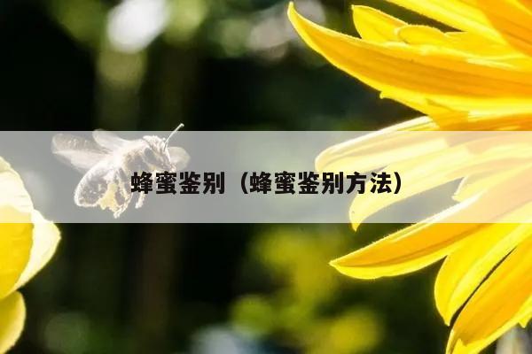 蜂蜜鉴别（蜂蜜鉴别方法）