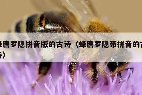 蜂唐罗隐拼音版的古诗（蜂唐罗隐带拼音的古诗）