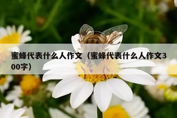 蜜蜂代表什么人作文（蜜蜂代表什么人作文300字）