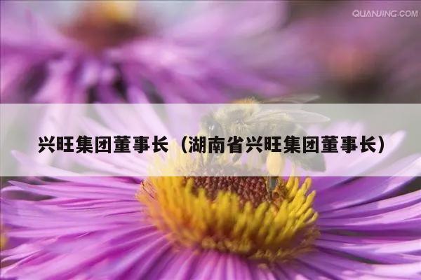 兴旺集团董事长（湖南省兴旺集团董事长）