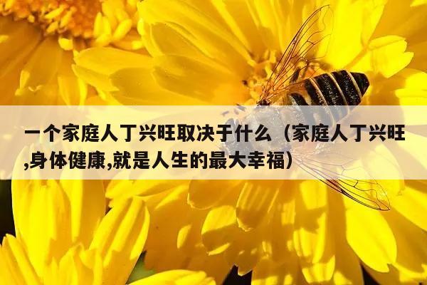 一个家庭人丁兴旺取决于什么（家庭人丁兴旺,身体健康,就是人生的最大幸福）