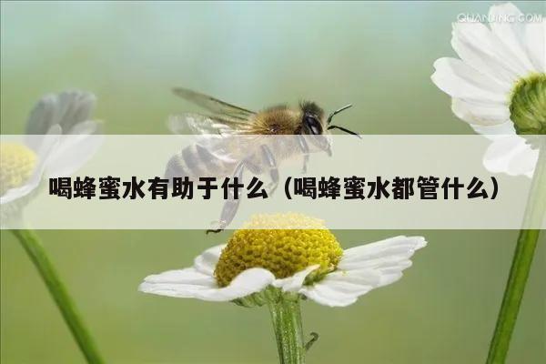 喝蜂蜜水有助于什么（喝蜂蜜水都管什么）