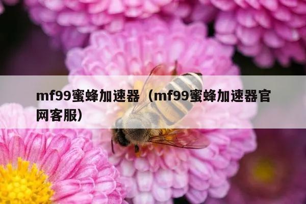 mf99蜜蜂加速器（mf99蜜蜂加速器官网客服）