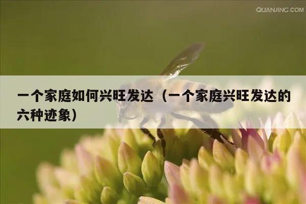 一个家庭如何兴旺发达（一个家庭兴旺发达的六种迹象）