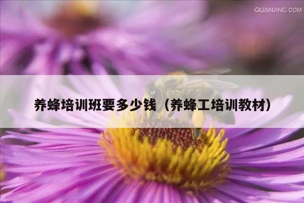 养蜂培训班要多少钱（养蜂工培训教材）