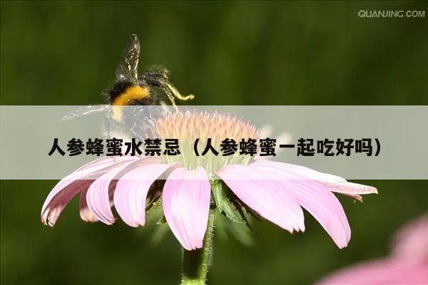 人参蜂蜜水禁忌（人参蜂蜜一起吃好吗）