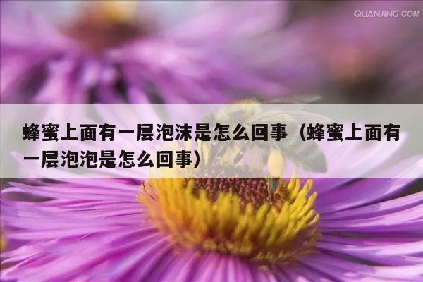 蜂蜜上面有一层泡沫是怎么回事（蜂蜜上面有一层泡泡是怎么回事）