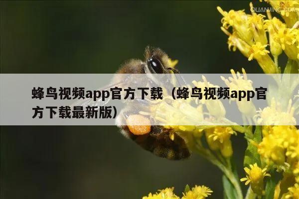 蜂鸟视频app官方下载（蜂鸟视频app官方下载最新版）