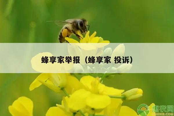 蜂享家举报（蜂享家 投诉）