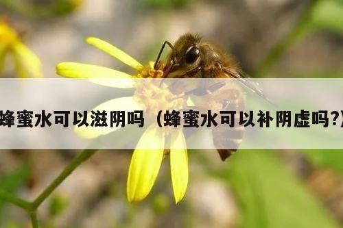 蜂蜜水可以滋阴吗（蜂蜜水可以补阴虚吗?）