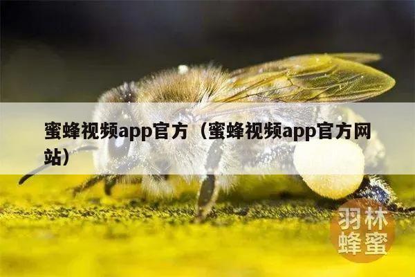 蜜蜂视频app官方（蜜蜂视频app官方网站）